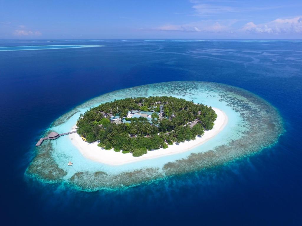Dhawa Ihuru is a charming luxury island resort located in the beautiful North Malé Atoll, Maldives, offering an intimate and peaceful tropical escape surrounded by turquoise lagoons and vibrant coral reefs. Known for its natural beauty and warm hospitality, the resort is an ideal destination for travelers seeking relaxation, privacy, and unforgettable island experiences.

The resort features stylish beachfront villas with contemporary Maldivian-inspired design, private outdoor spaces, and direct access to the white sandy beach and crystal-clear waters. Guests can enjoy breathtaking sunsets, personalized services, and a serene atmosphere that perfectly reflects the beauty of the Maldives.

Dhawa Ihuru is especially famous for its exceptional house reef, making it one of the best snorkeling and diving destinations in the Maldives. The resort also offers a variety of water sports, wellness treatments, fine dining experiences, and romantic activities tailored for honeymooners, couples, and nature lovers. Combining comfort, elegance, and adventure, Dhawa Ihuru delivers a truly unforgettable island retreat.