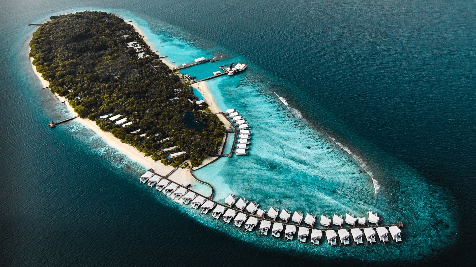 Amilla Maldives is one of the most exclusive luxury resorts in the Maldives, located within the UNESCO Biosphere Reserve of Baa Atoll. Unlike many traditional island resorts, Amilla is famous for its spacious natural environment, lush tropical jungle, oversized villas, and strong focus on sustainability, wellness, and personalized experiences.
The resort is proudly Maldivian-owned and offers a unique blend of contemporary luxury and authentic island charm. With only around 67 villas and residences spread across a large island, guests enjoy exceptional privacy, tranquility, and space. Many travelers consider Amilla one of the best resorts in the Maldives for snorkeling, wellness, family stays, and luxury honeymoon experiences.
A major highlight is its proximity to Hanifaru Bay, one of the world's most famous manta ray gathering sites, making it a dream destination for marine life lovers and divers